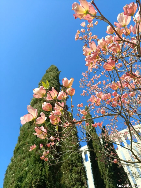 Каньон в парке С. Галицкого