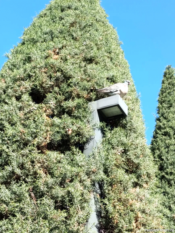 Каньон в парке С. Галицкого