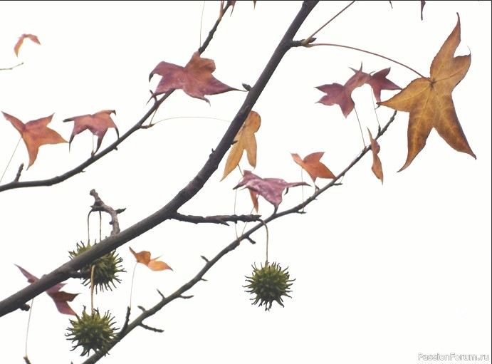 Парк зацвел