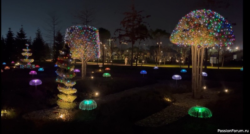 Новогоднее убранство парка