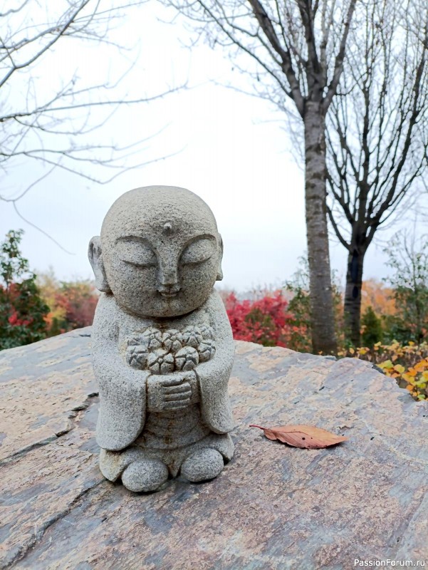 Немного хокку и много осени японского сада.