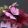 Anna Makes Flowers Anna Makes Flowers