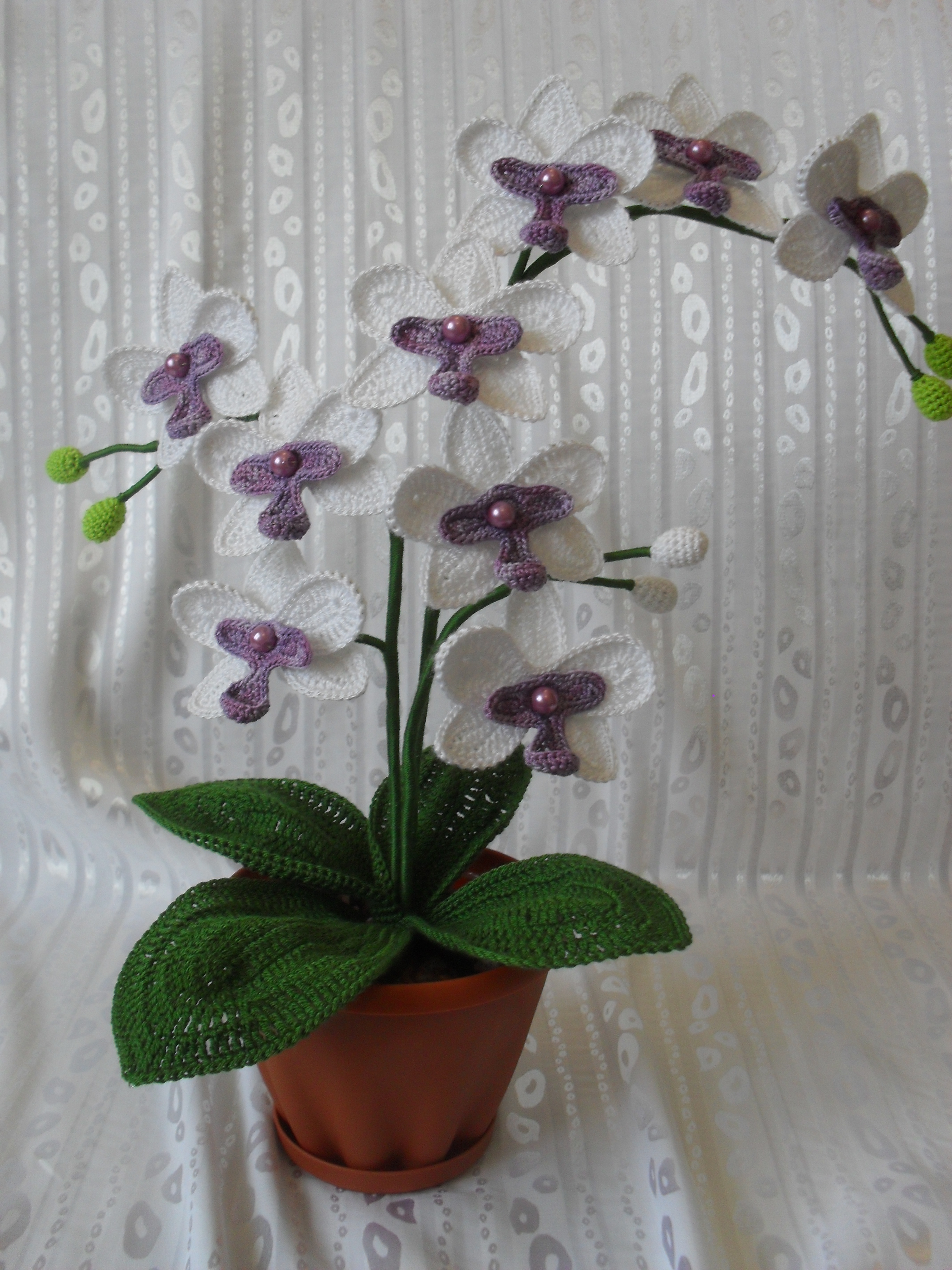 Орхидея Фаленопсис крючком. Схемы вязания