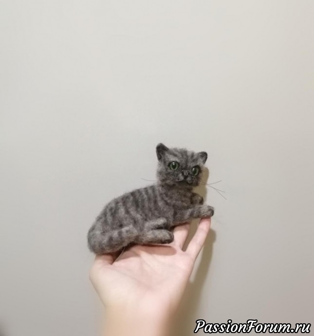 Полосатый котик