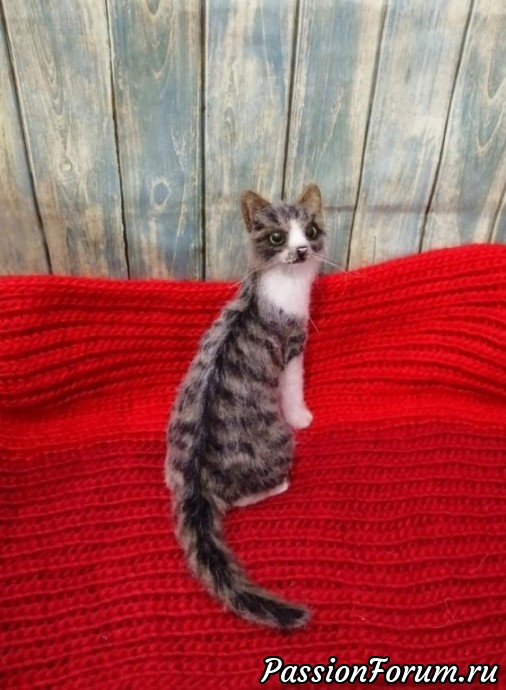 Кошечка