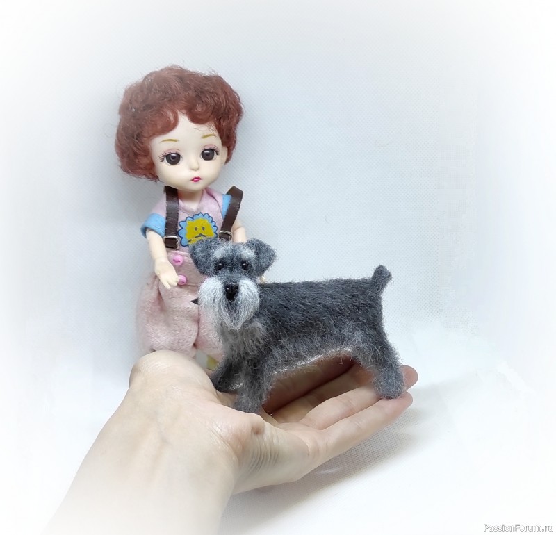 Цвергшнауцер