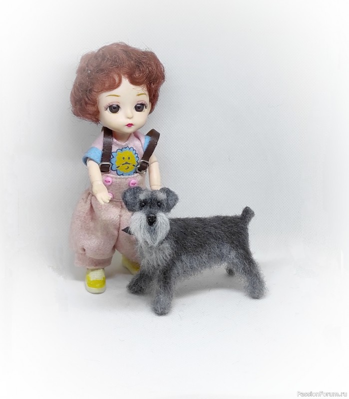 Цвергшнауцер