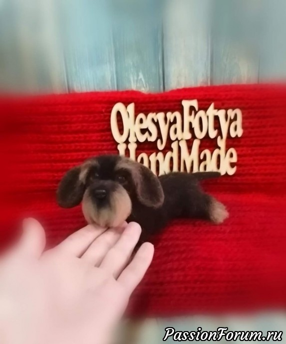 Жесткошерстная такса