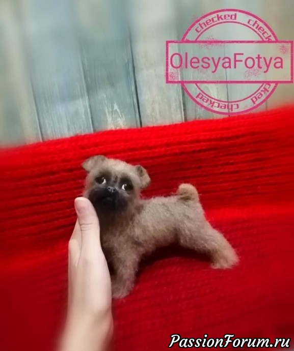 Гриффоны (Бельгийский и брюссельские)
