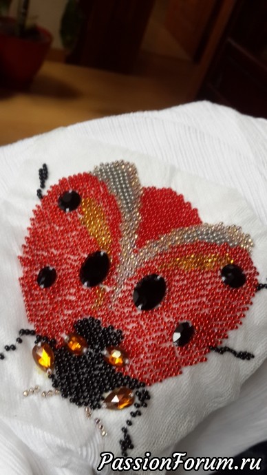 Божья коровка