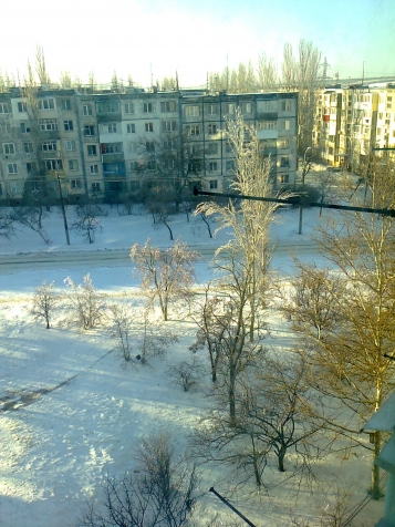 Вся природа во льду. Вся природа во льду.