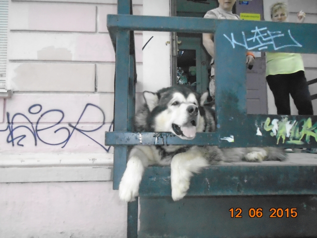 12 июня, или Пермякам везёт! 12 июня, или Пермякам везёт!