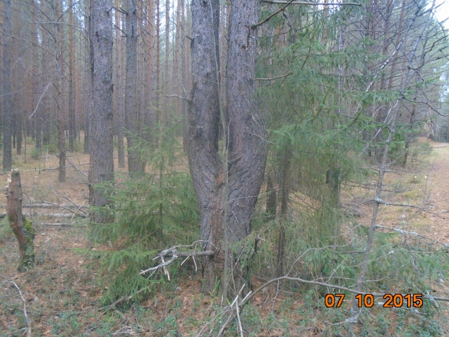 Осенняя хандра......