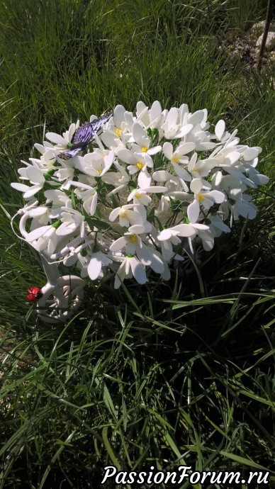 Подснежники