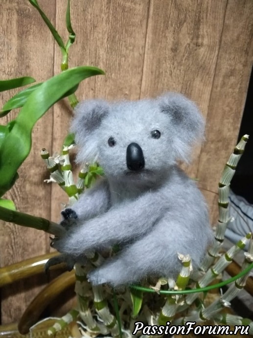 Коала