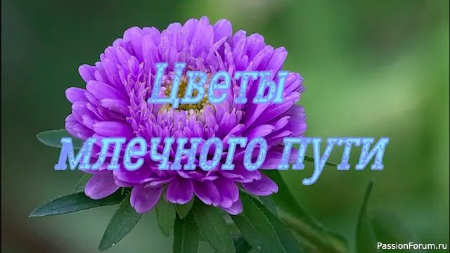 Комплект украшений "Астра"