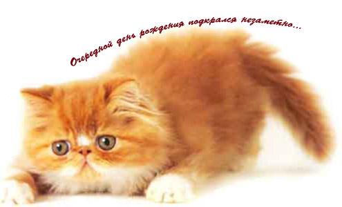 Благодарю