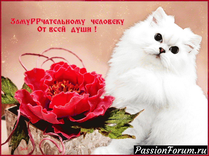 Получила поздравление из далёкого Хабаровска))