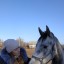 Lafresa (Татьяна)