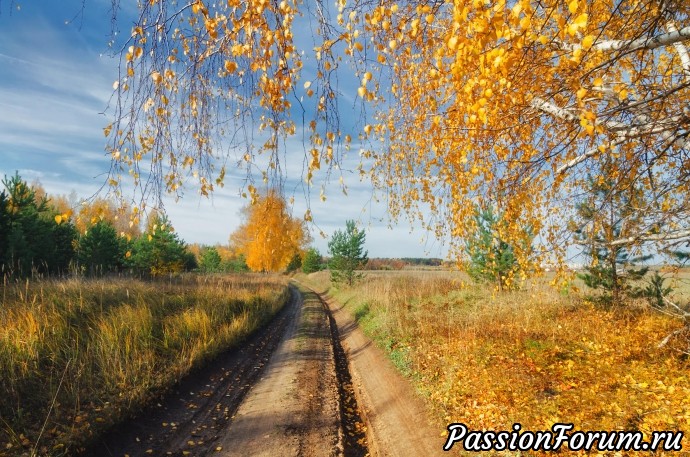 Пошла золотая осень, а зима еще не наступила