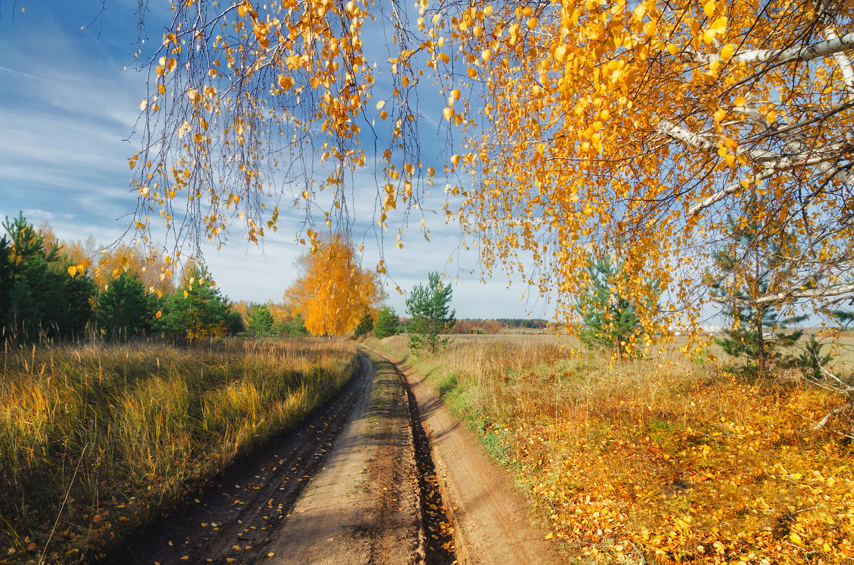 Золотая Осень Дождь Фото