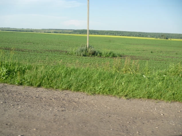 Поездка в Свято-Николо-Чернеевский мужской монастырь