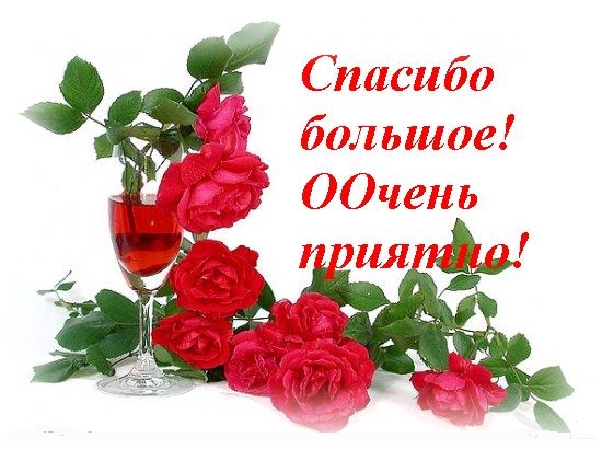 Моя огромная благодарность всем!