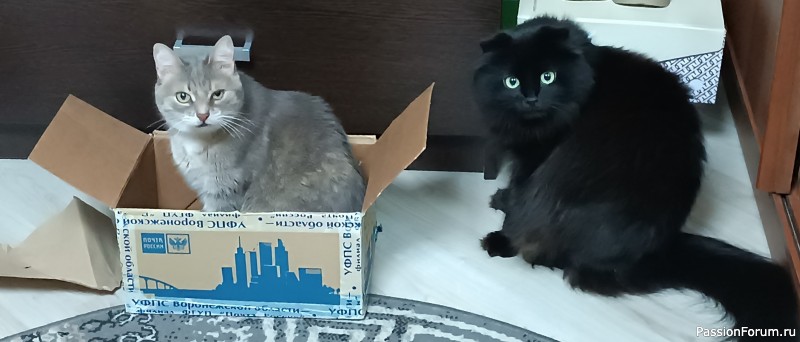 Моя коллекция ведьмочек пополнилась!