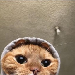 uрuна uрuна