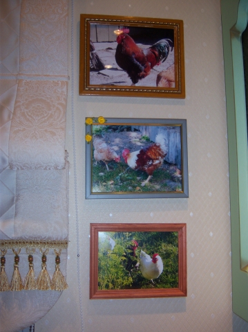 фото курочек на кухне фото курочек на кухне