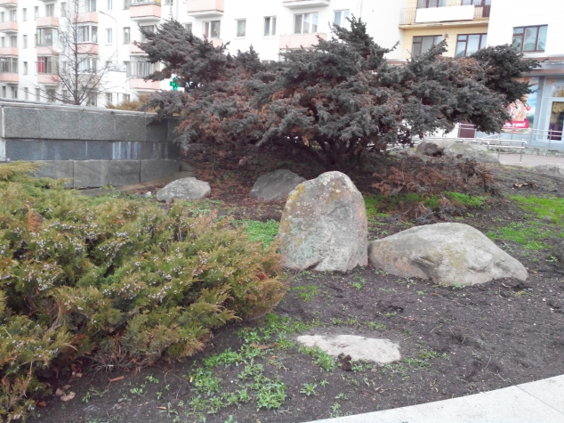 Клумба у кинотеатра "Октябрь" Клумба у кинотеатра "Октябрь"
