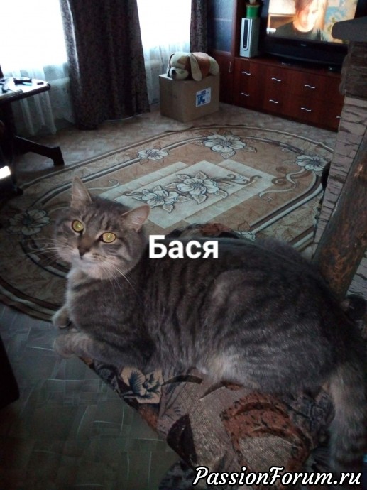 Бася! Или просто Басяндра.