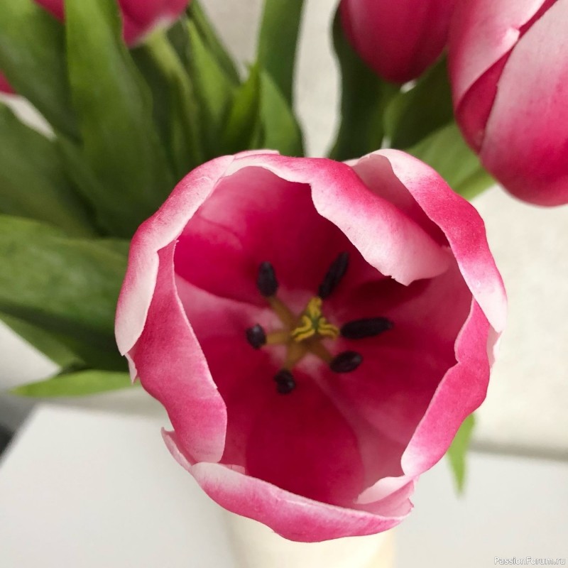 Тюльпаны из фоамирана. Шаблоны