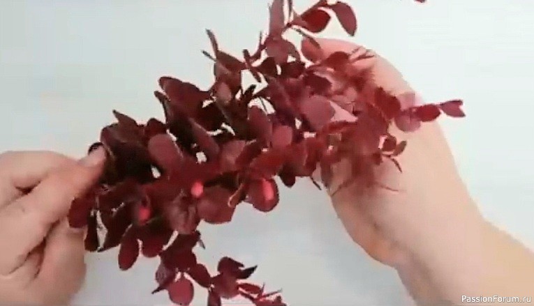 Веточка Барбариса из холодного фарфора. Видео МК