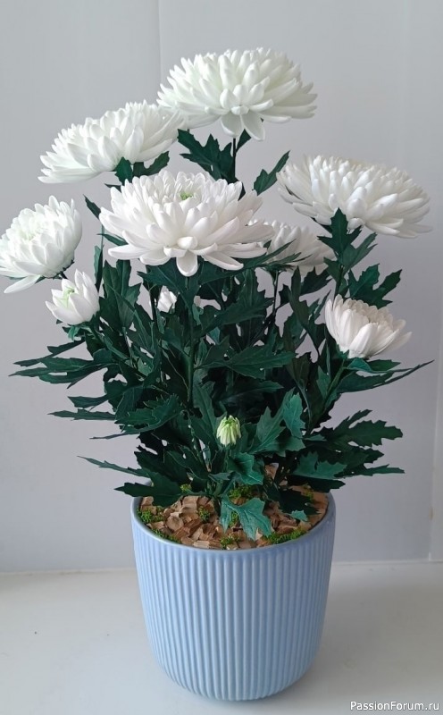 Хризантемы из фоамирана. Шаблоны