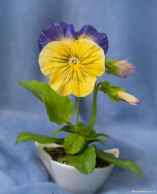 Анютины глазки из фоамирана. Шаблоны