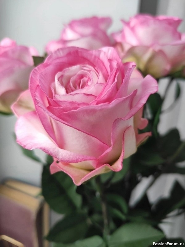 Розы из фоамирана. Шаблоны