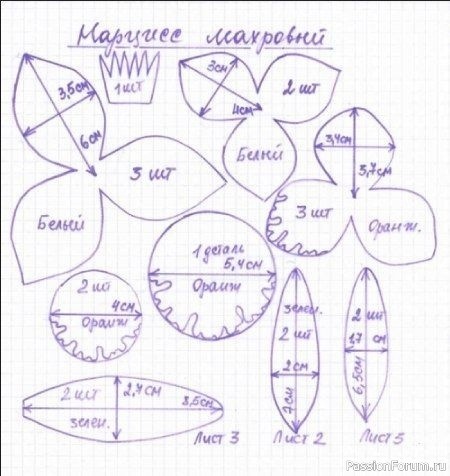 Нарциссы из фоамирана. Шаблоны