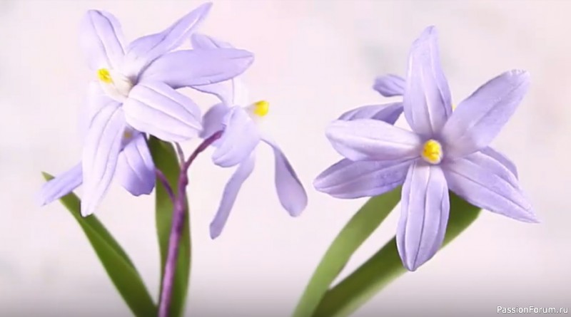 Цветы хионодоксы из фоамирана. Видео МК