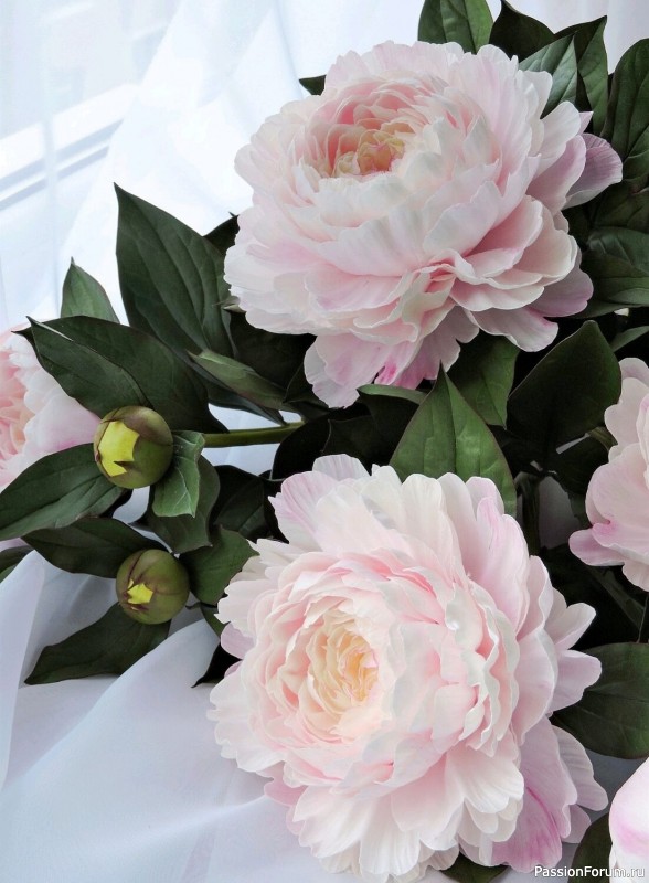 Пионы из фоамирана. Шаблоны