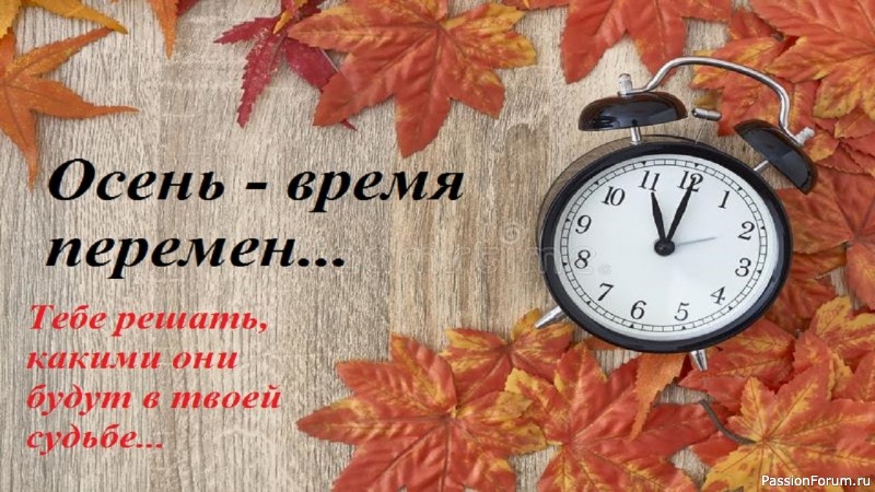 Секреты красоты. Если выпадают волосы