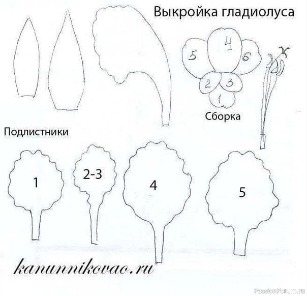 Гладиолусы из фоамирана. Шаблоны