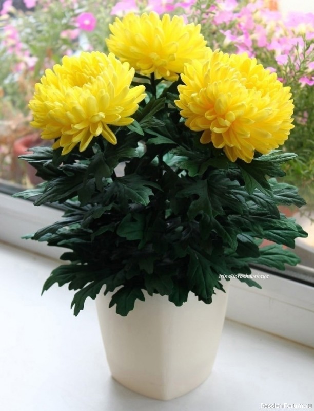 Хризантемы из фоамирана. Шаблоны