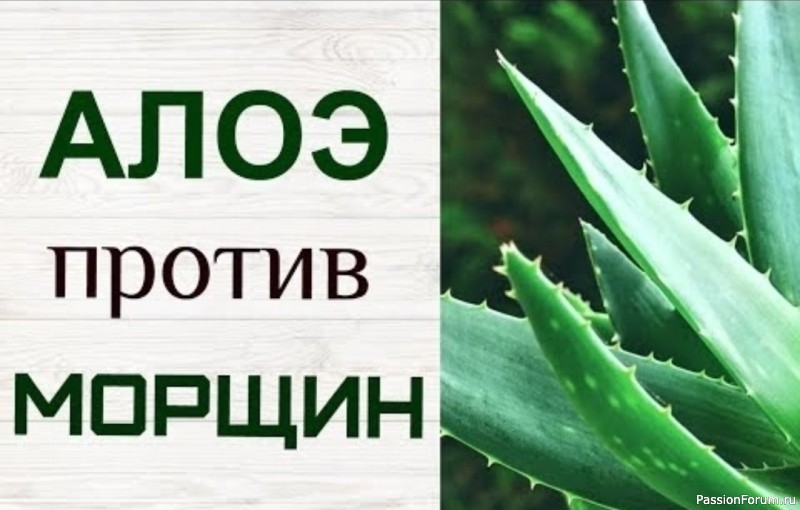 Секреты красоты. Алоэ от Морщин