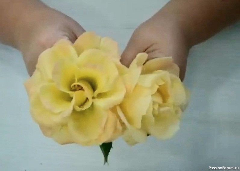Желтая чайная роза из холодного фарфора. Видео МК