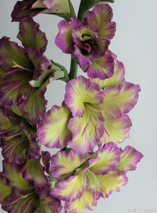 Гладиолусы из фоамирана. Шаблоны