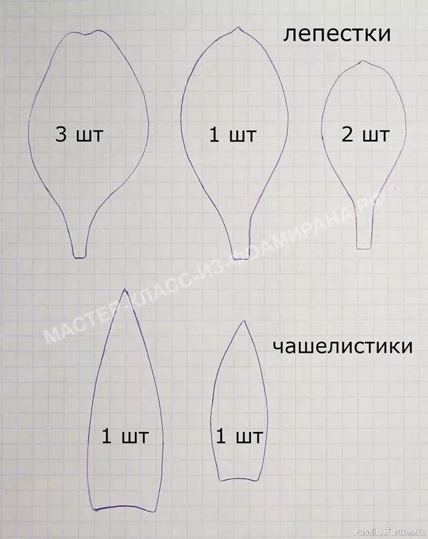 Гладиолусы из фоамирана. Шаблоны