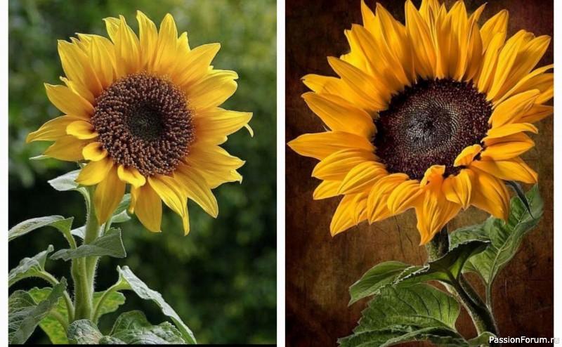 Подсолнухи из фоамирана. Шаблоны