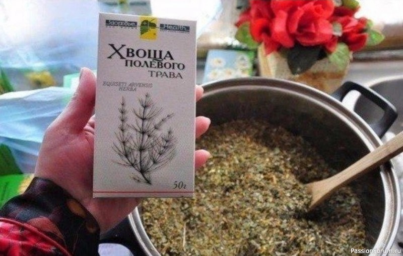 Чудо-трава для здоровья и красоты волос