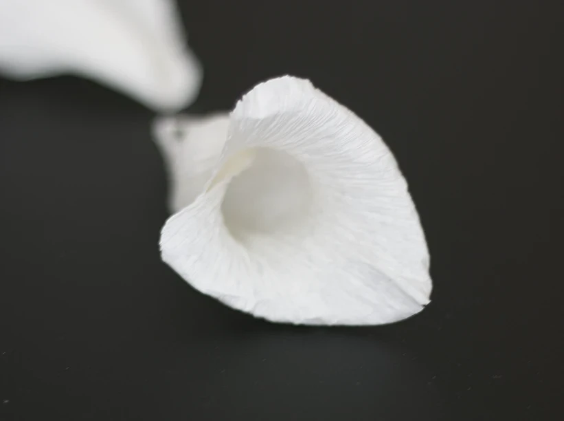 Цветы из гофрированной бумаги с конфетами: мастер-класс